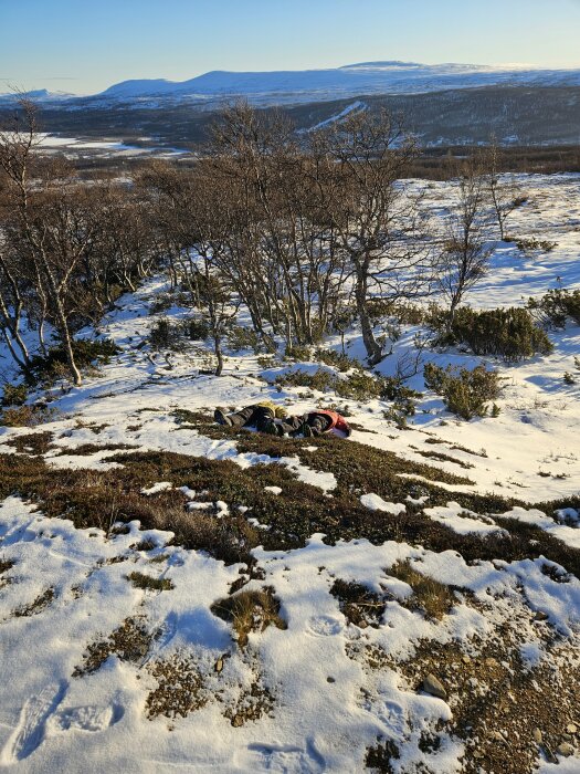 En person ligger på marken i ett snöbetäckt landskap med kala träd och berg i bakgrunden.
