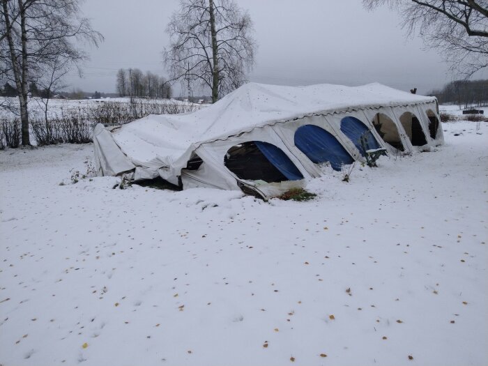 Snedbelastat tält kollapsat under snö, vinterlandskap, täckt mark, kala träd, grå himmel.