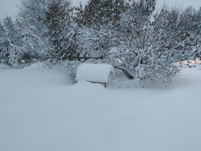 Snötäckt trädgård med tjockt lager snö på buskar och oigenkännlig möbel.