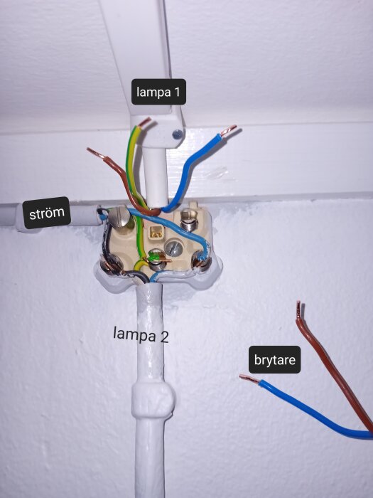 Elkopplingsdosa öppen, kablar märkta för två lampor, ström och brytare, installationsarbete synligt.