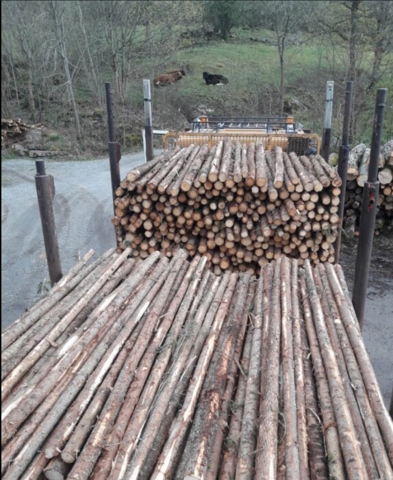 Trädstammar staplade vid sågverk, metallstolpar, naturen i bakgrunden, molnig dag.