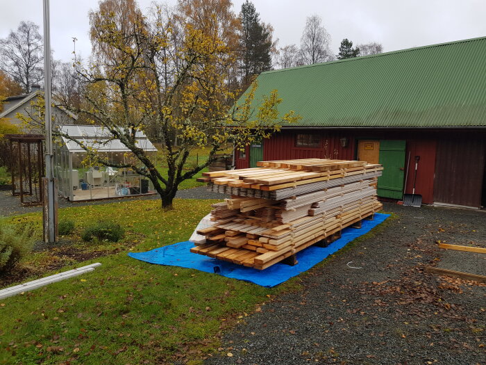 Trästockar på blå presenning, höst, lövträd, växthus i trädgård, röd lada, grusgång, molnig dag.