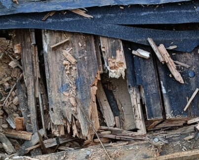 Slitet trä och bark under blått föremål, tecken på förfall eller skada.