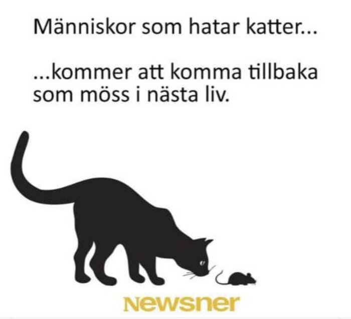Svart katt tittar på liten mus, text säger katthatare återföds som möss. Newsner-logotyp syns.