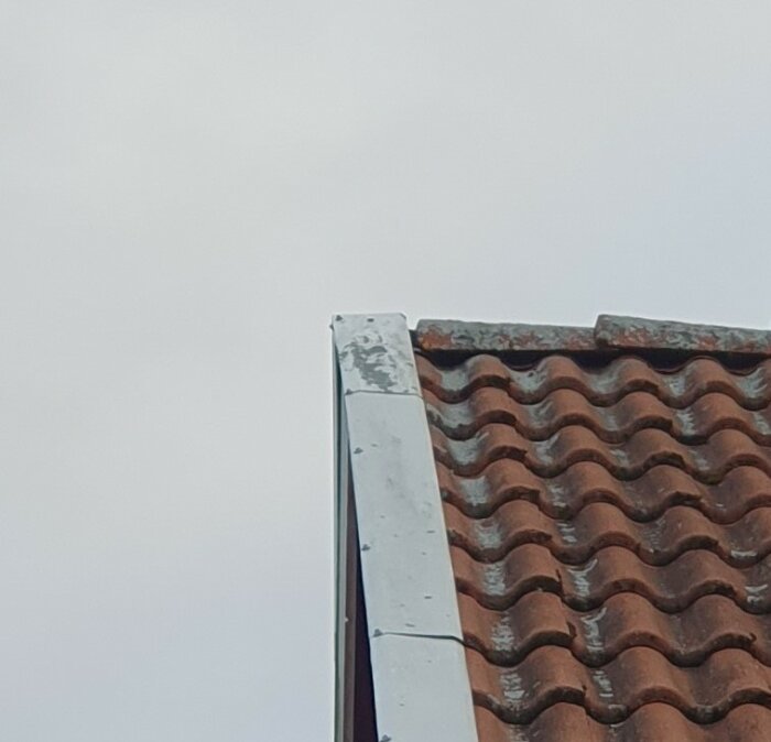 Taknock med rött tegelpannor mot en grå himmel. Skorsten eller ventilationsrör antyds. Enkel, arkitektonisk detaljbild.