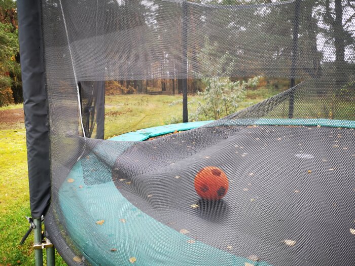 Trampolin med säkerhetsnät i trädgård, boll på hoppduken, omgiven av träd och löv.