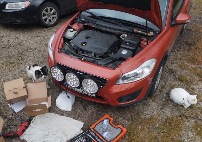 Röd bil med öppen motorhuv, extraljus, verktyg, och två katter vid bilreparation utomhus.