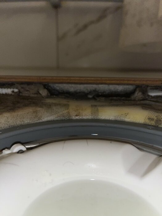 Toalett med skador och mögel vid basen, behöver sanering och reparation.