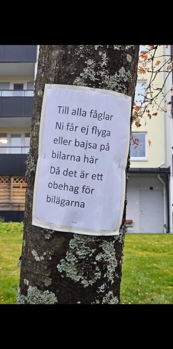 Lapp på träd som humoristiskt förmanar fåglar att inte flyga eller uträtta sina behov över bilar.