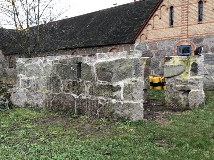 Gammal stenmur framför byggnad, fönster, katt, gul behållare, gråa toner, höst, inga löv på grenar.