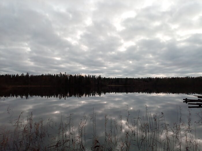 Molnig himmel speglas i lugn sjö omgiven av skog och vass.