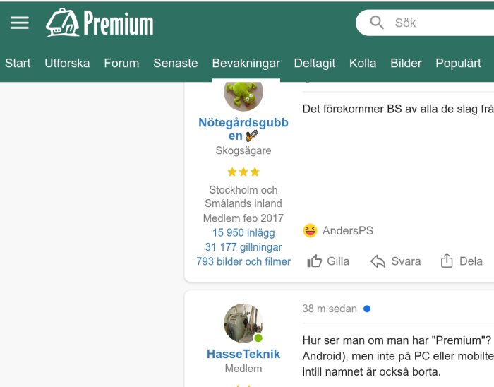 Skärmklipp av användarprofil från en svensk online community eller ett forum.