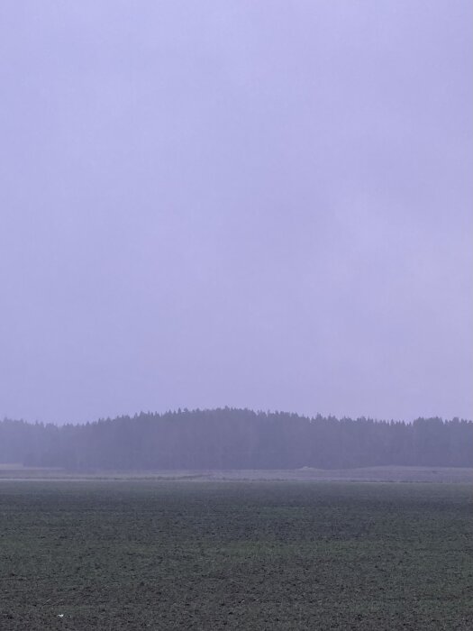 Dimmigt landskap med skog i bakgrunden och öppet fält i förgrunden. Gråblå toner dominerar.