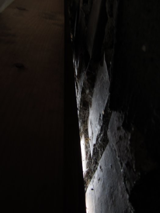 IMG_6274.jpg