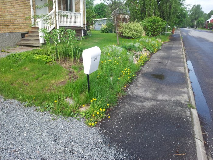 20130603_090841.jpg