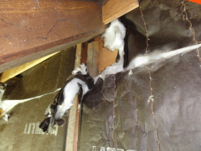 Close-up of attic wall showing wooden beams and black insulation material with exposed fiberglass.