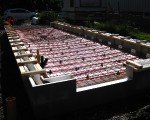 thumbs_img_3232_2.jpg