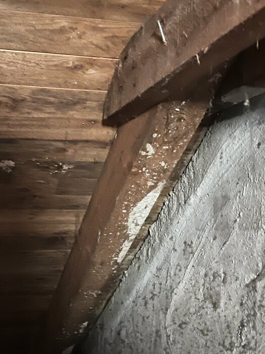 Träbjälkar möter en putsad betongvägg i ett mörkt och dammigt utrymme. Byggmaterial syns i nedisad belysning.