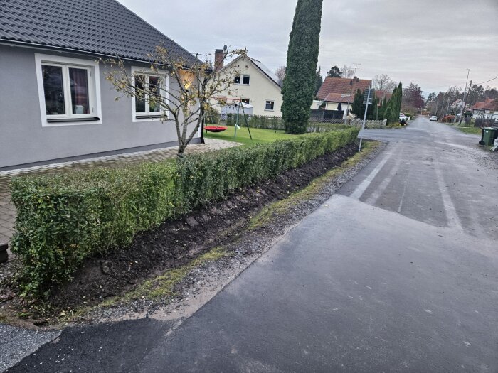 Grå himmel, våt väg, enfamiljshus, häck, naken träd, bostadsområde, gräsmatta, stillhet, gatubelysning, ingen person synlig.