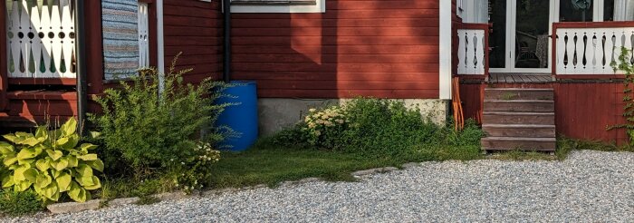 Röd stuga, vita verandor, blå tunna, gröna växter, grusig uppfart, sommar, solsken, skuggor, lugn, svensk idyll.