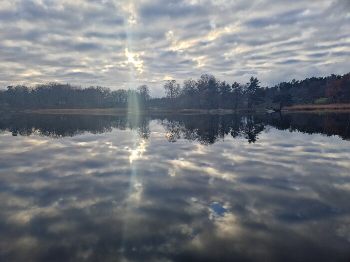 Molnig himmel speglas i stilla vatten vid skymningen, träd vid horisonten, solstråle genom molnen.