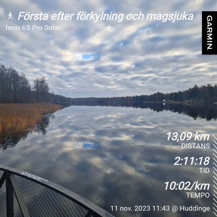 Stilla sjö, speglar moln och träd, fitness tracker data, löpning prestation, naturvy.