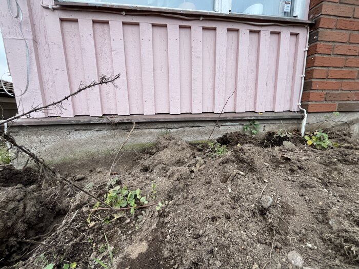 Rosa staket, brunt hus, grävd jord, bar gren, utomhus, dagtid.