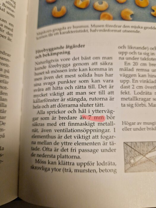 Svensk text om förebyggande åtgärder och bekämpning av möss. Sidebar med illustrationer av brödbitar.