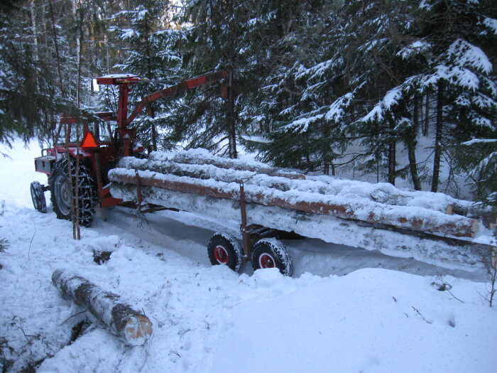 Röd skogstraktor transporterar snötäckta timmerstockar i vinterlandskap med täta barrträd.