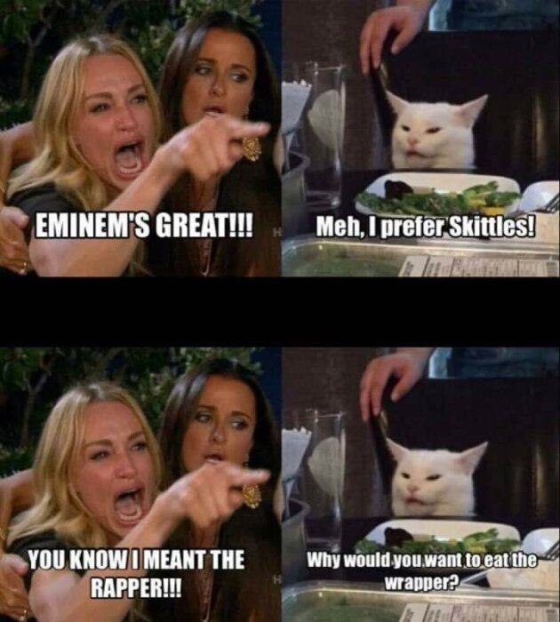 Kvinna hävdar att Eminem är fantastisk, en katt misstar det för M&M's, ordlek följer. Humoristiskt meme-format.