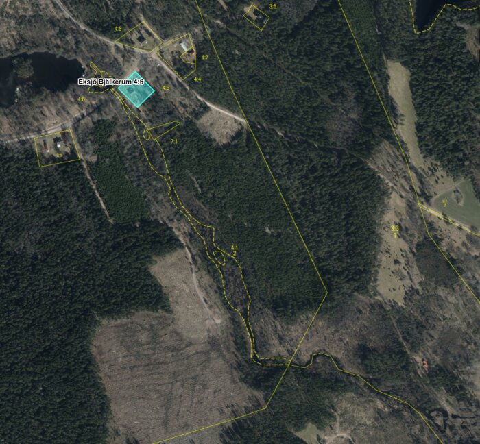 Satellitbild på skogsterräng med markerade områden, några anlagda vägar och öppna ytor.
