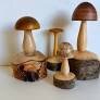 Träsvarvade objekt som liknar svampar, varierande storlekar, naturlig bakgrund, hantverk, konst, dekoration.