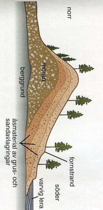 Geologiskt tvärsnitt av ändmorän, förstrand, berg och varviga lerskikt. Illustrerar glaciala avlagringar och landskapsbildning.