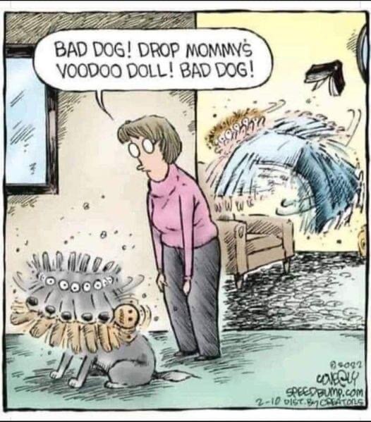 Kvinna tillsäger hund som håller i en nåladocka; vattenstråle skjuter ut från soffan på samma sätt. Humoristisk teckning.