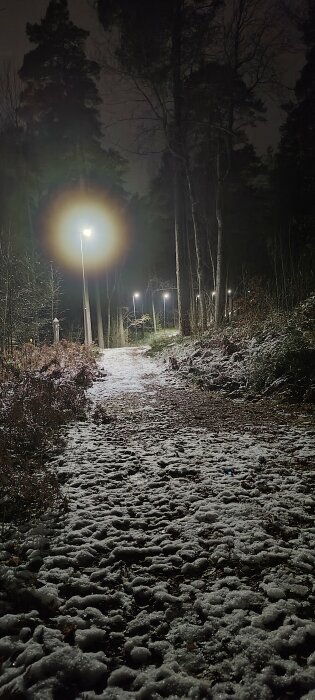 En mörk skogsväg upplyst av gatlyktor med snö på marken om natten.