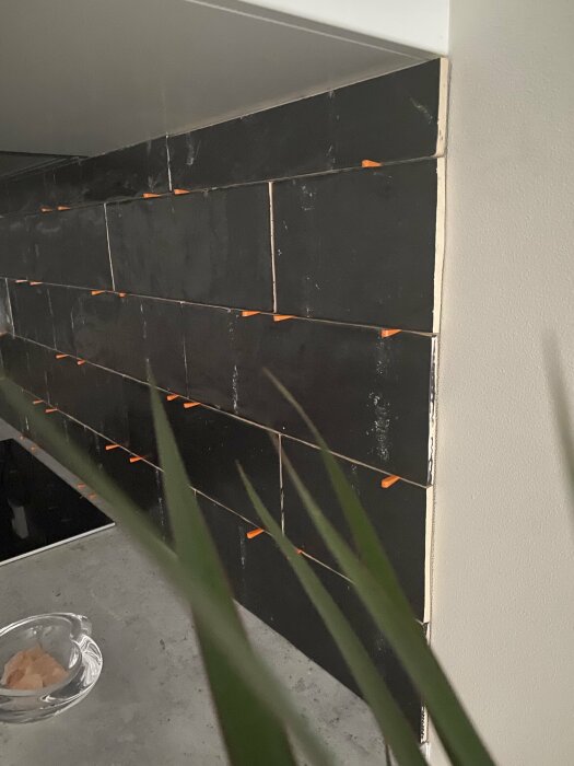 Svart kakel under installation, med orange distanskilar, ej färdigstäld vägg, suddig växt förgrunden.