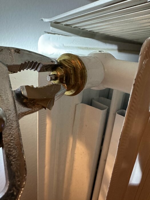 Tång justerar termostatventil på vit radiator, närbild, underhåll, VVS-arbete, upplyst av omgivande ljus.