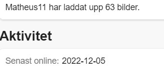 Profilaktivitet, användare "Matheus11", 63 bilder uppladdade, senast online den 5 december 2022.