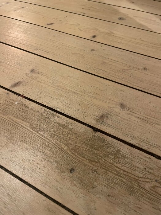 Trägolv av plankor med synliga ådringar och knutar. Naturlig, rustik yta. Inomhusperspektiv.