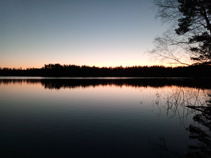 Solnedgång vid en stilla sjö med silhuett av skog och grenar. Lugnt, reflekterande vatten. Naturskönt och fridfullt.