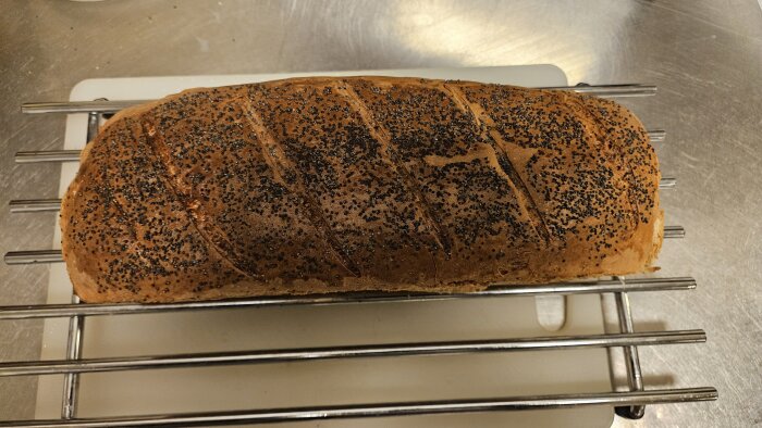 Nybakat bröd med vallmofrön på ett galler. Brunt, skuret, uppdukning i kök.