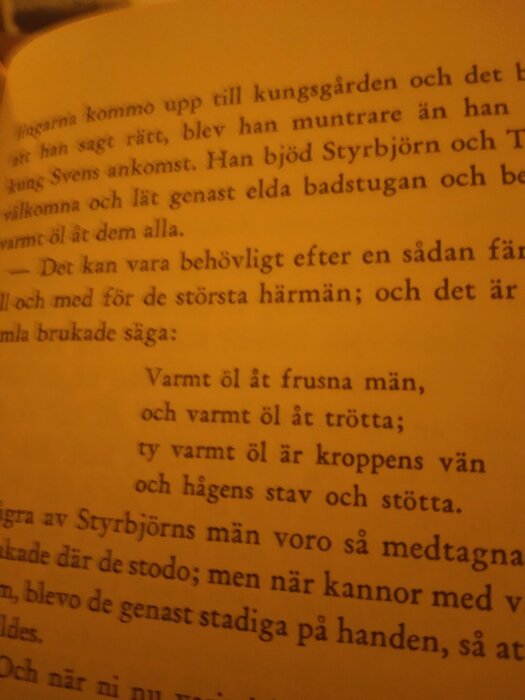 En sidbild från en bok, visar svensk text, möjligtvis en berättelse eller ett historiskt verk.