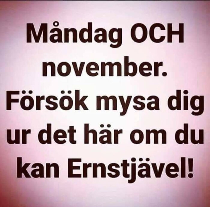 Rosa bakgrund, svart text med humoristisk ton om måndag, november och mysa, anspelar på Ernst Kirchsteiger.