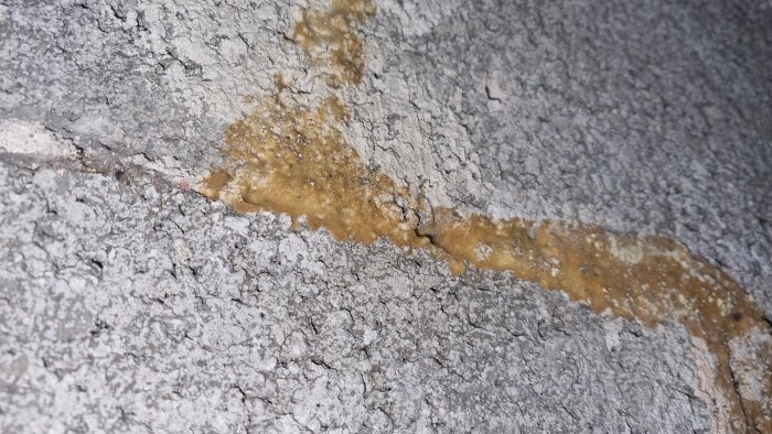 Bilden visar en närbild av en spricka i betong med brunaktig utfällning eller fukt.