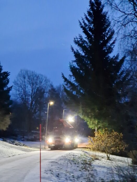 Lastbil i gryning, snötäckt väg, barrträd, svagt ljus, vinterdag.