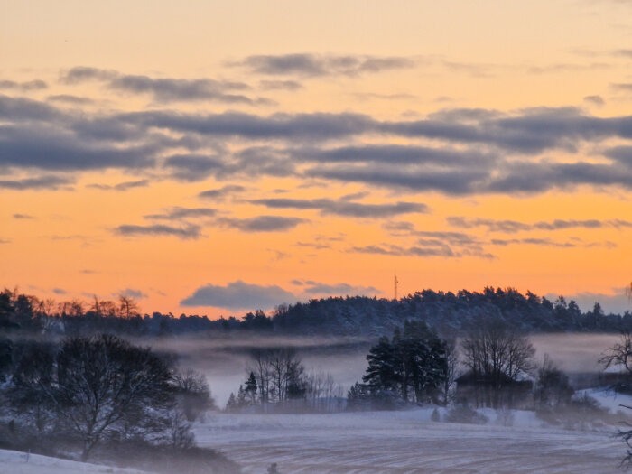 Vinterlandskap vid solnedgång med snö, träd, dimma och färgrik himmel.