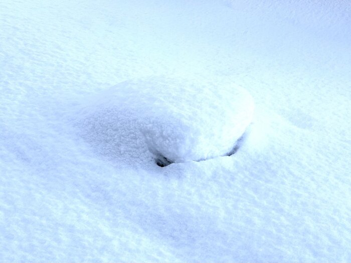 Täckt föremål under snötäcke, konturer syns lätt, homogen vit och blå färgpalett, kallt vinterlandskap.