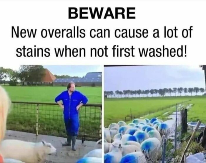 Person i blå overall bredvid får, lämnar blå färgstänk på vita får. Humoristiskt varningsbudskap.