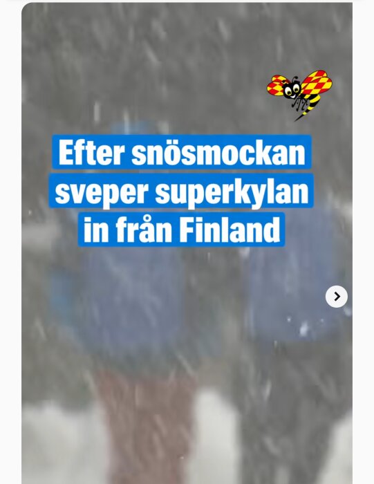 Text över bild med snöoväder: "Efter snösmockan sveper superkylan in från Finland". Tecknad bi-ikon.