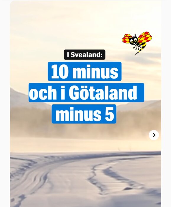 Bild på vinterväder, snötäckt landskap, temperaturangivelser för Svealand och Götaland, bi-illustration med mönster.